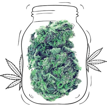 Super Skunk