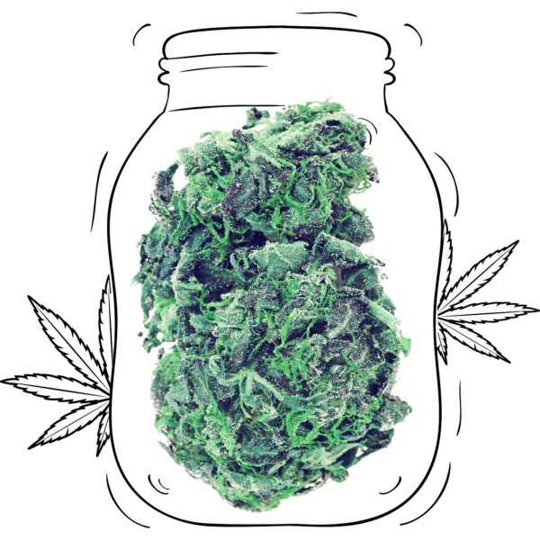 Super Skunk
