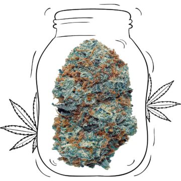 Strawberry Haze