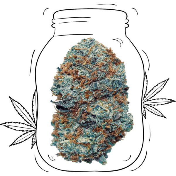 Strawberry Haze