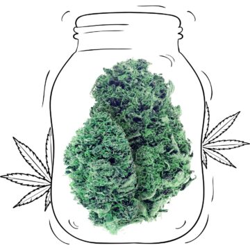 Sour Tsunami