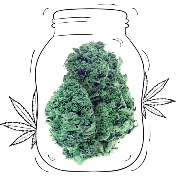 Sour Tsunami